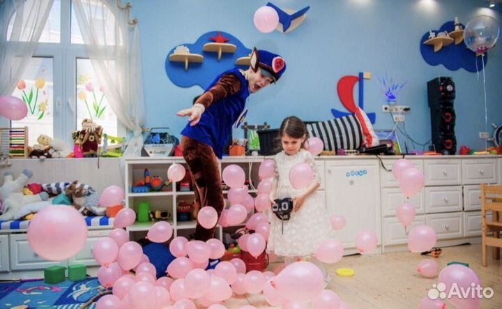 Аниматор на день рождения, шоу программы