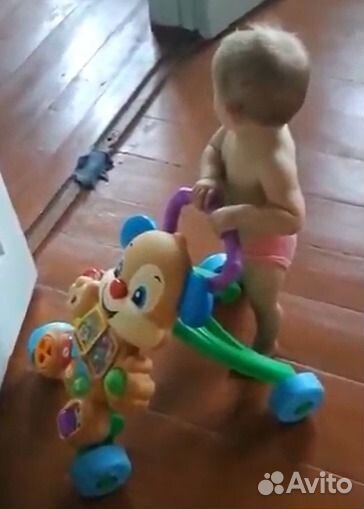 Ходунки Fisher Price Ученый Щенок