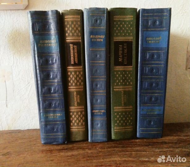 Серия книг Библиотека поэта