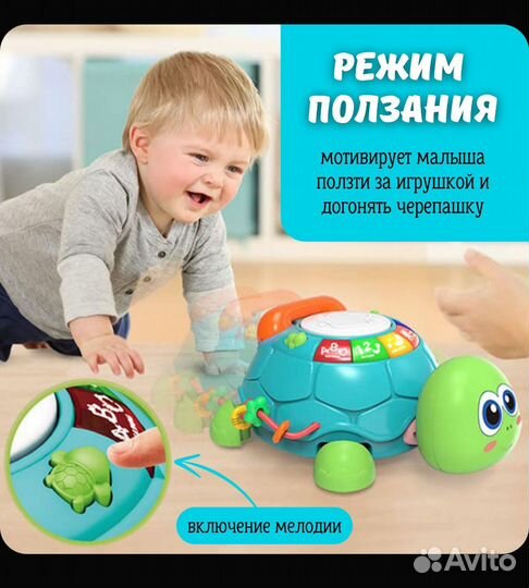 Интерактивная игрушка ползающая черепаха