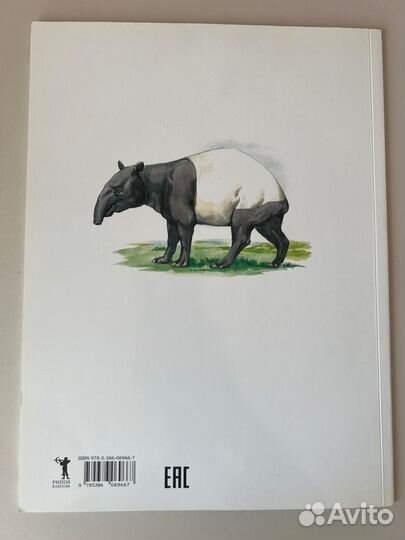 Энциклопедия для детей Животные Южной Америки