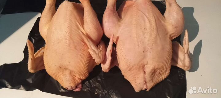 Мясо домашнего бройлера