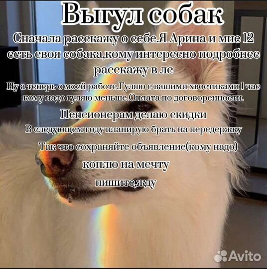 Собака