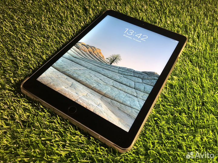 iPad Air 2 Ростест