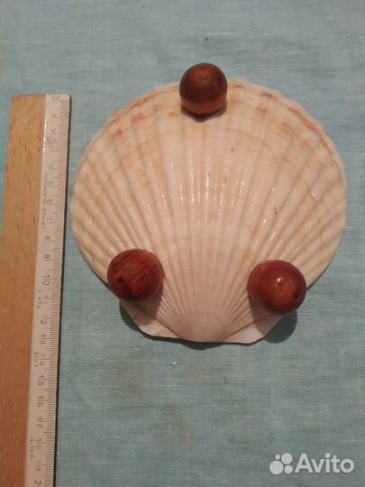 Тарелка-ракушка декоративная