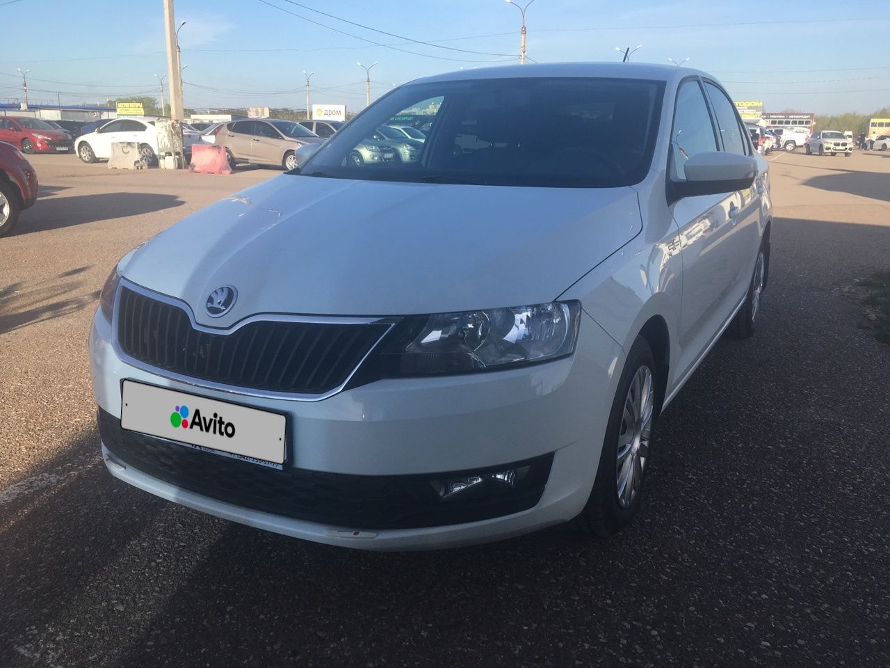 Skoda Rapid: фото владельца