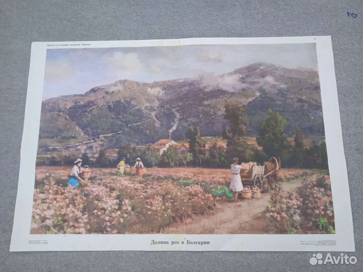 Плакаты учебные СССР по географии