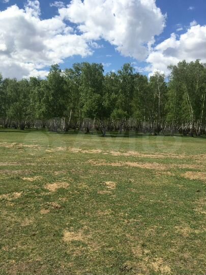 Участок 12 сот. (ИЖС)