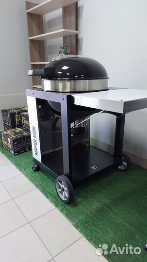 Угольный гриль Napoleon PRO22K-cart