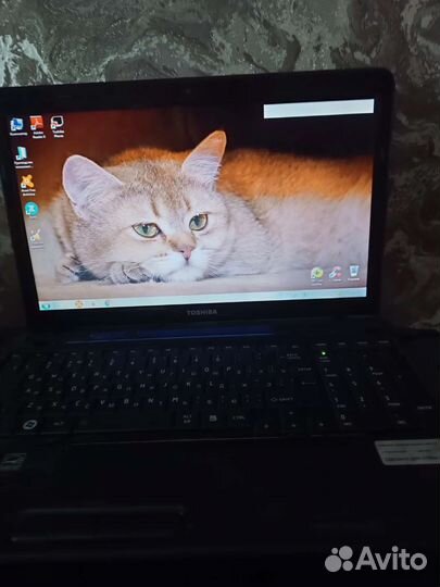 Ноутбук toshiba