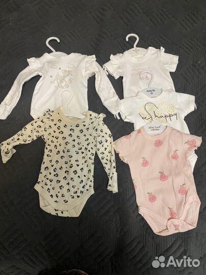 Боди 62 новые