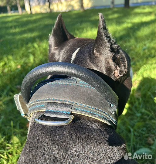 Ошейник для собак из кожи