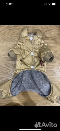 Костюм на собаку