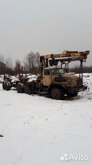 Услуга заготовка леса