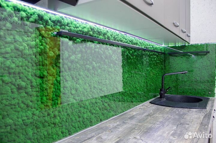 Мох стабилизированный - Фартук из стекла