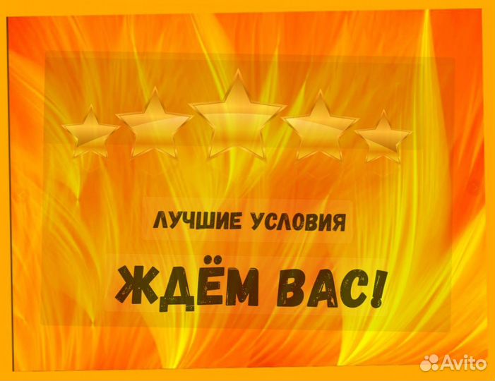 Автоэлектрик вахта Выплаты еженед. Жилье /Еда /Хор