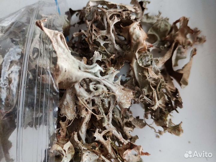 Исландский мох (сироп и трава)