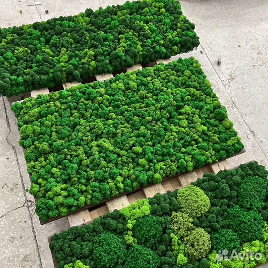 Панно из мха