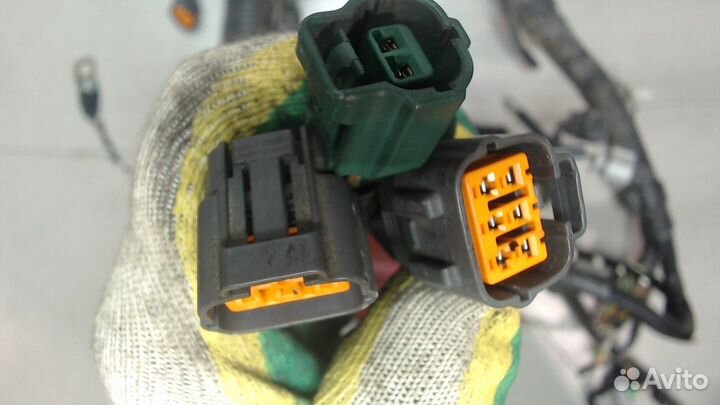 Жгут управления двигателем Suzuki Swift, 2006