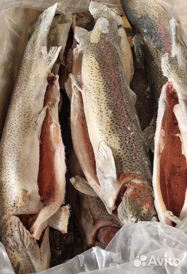 Стейки форели