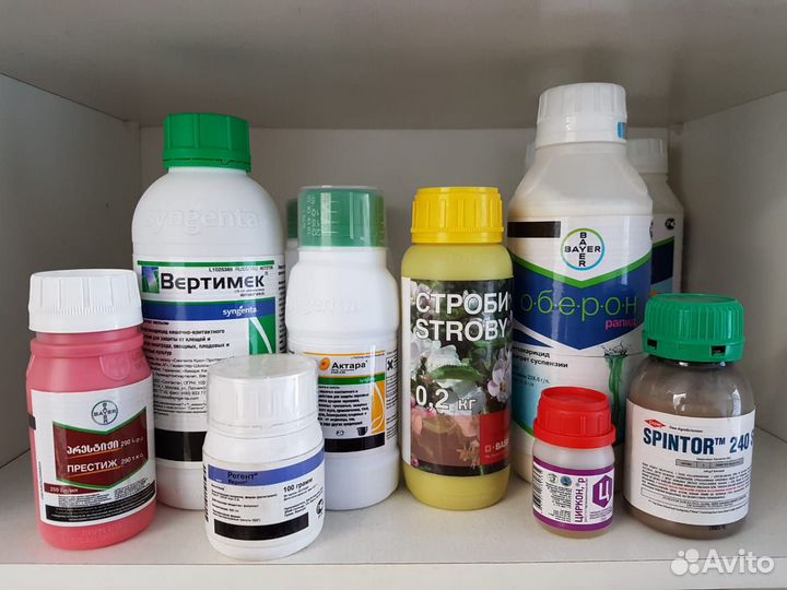 Превикур Энерджи фунгицид