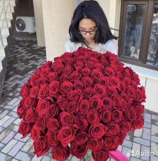 Роза Эквадор оптом