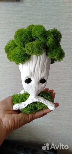 Кашпо со мхом