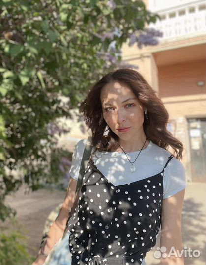 Догситтер, передержка