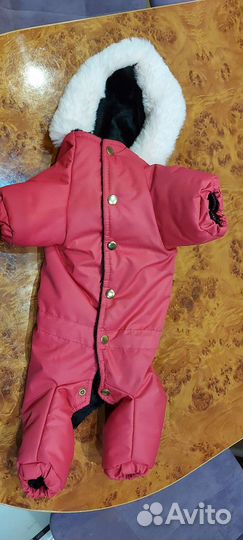 Комбинезон для маленькой собаки