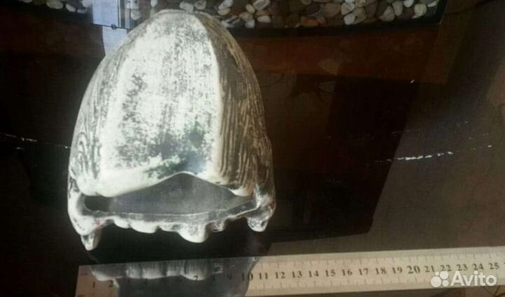 Аквакервмика, корм