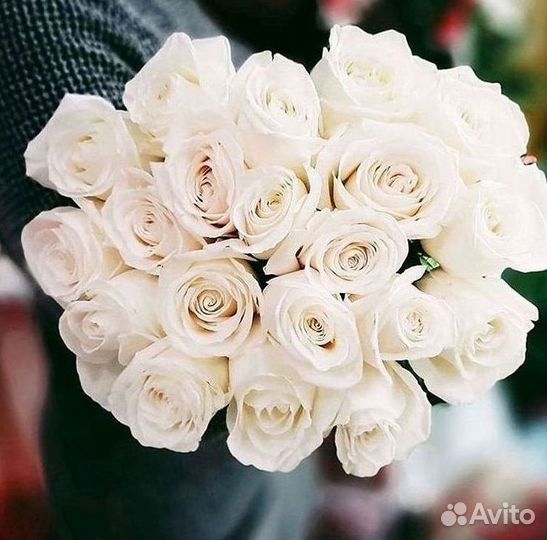 Розы Букеты Цветы Розы 31 101 151 201 Доставка