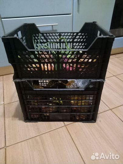 Ящик пластиковый