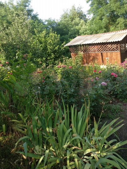 Дом 44,6 м² на участке 50,7 сот.