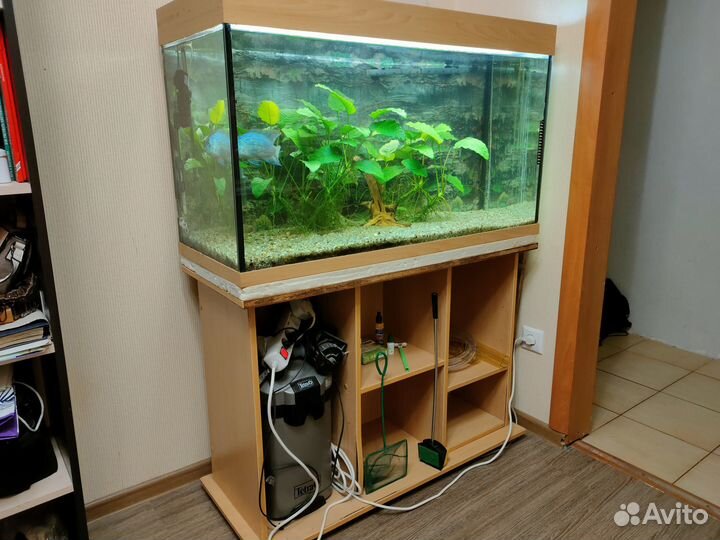 Аквариум 240 литров с тумбой и кучей нужного