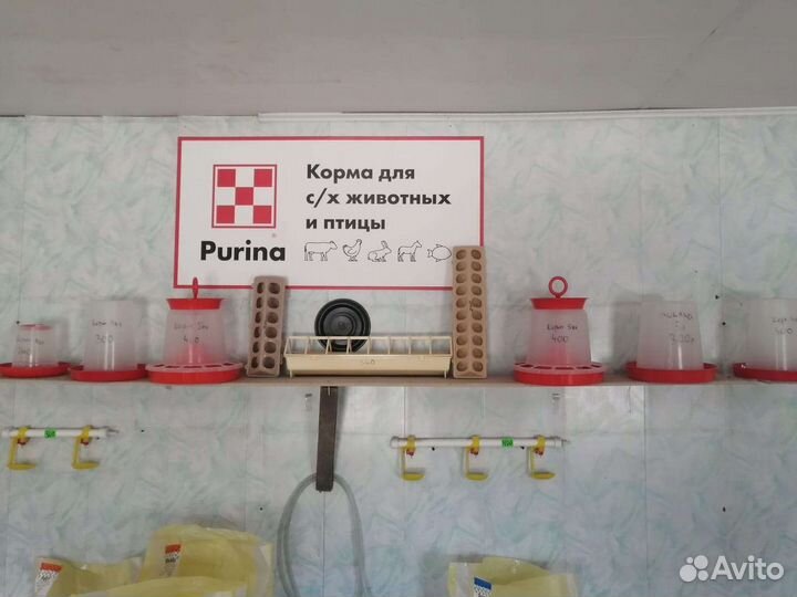 Корма для сельскохозяйственных животных