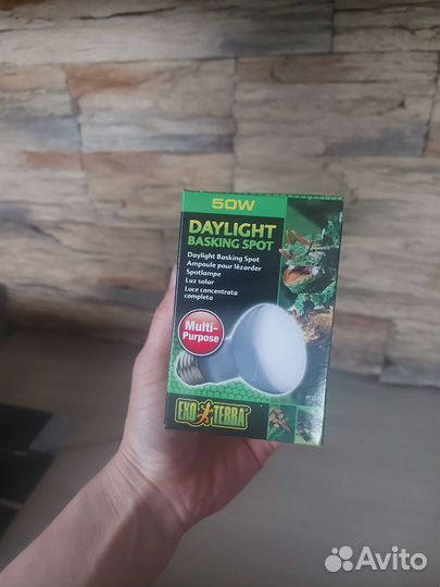 Террариум большой