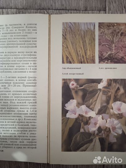 Книги. Лечебные травы и растения