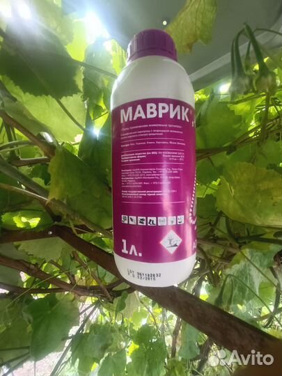 Инсектицид для цветущих растений не убивающий пчёл