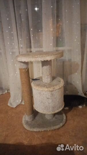 Когтеточка для кошек бу