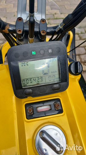 Снегоход Irbis dingo 150