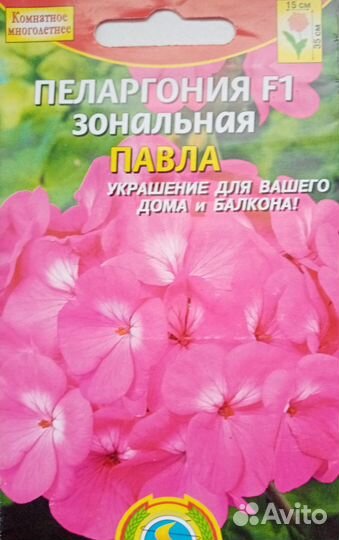 Герань пеларгония