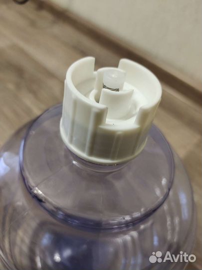 Домашние животные