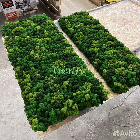 Панно из мха панель со мхом 120*40см