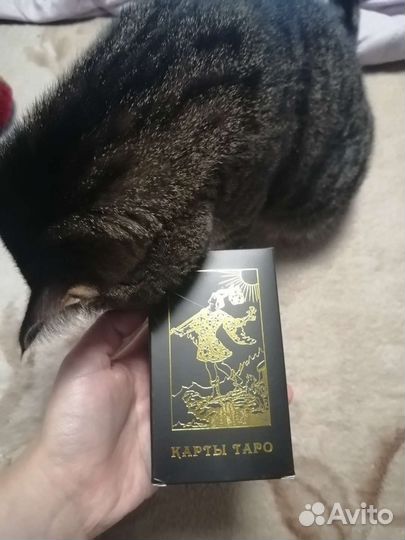 Карты таро уэйта