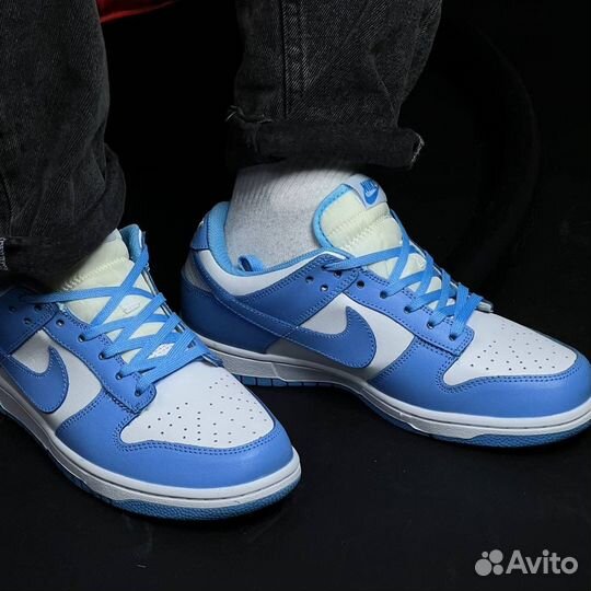 Кроссовки Nike Sb dunk low