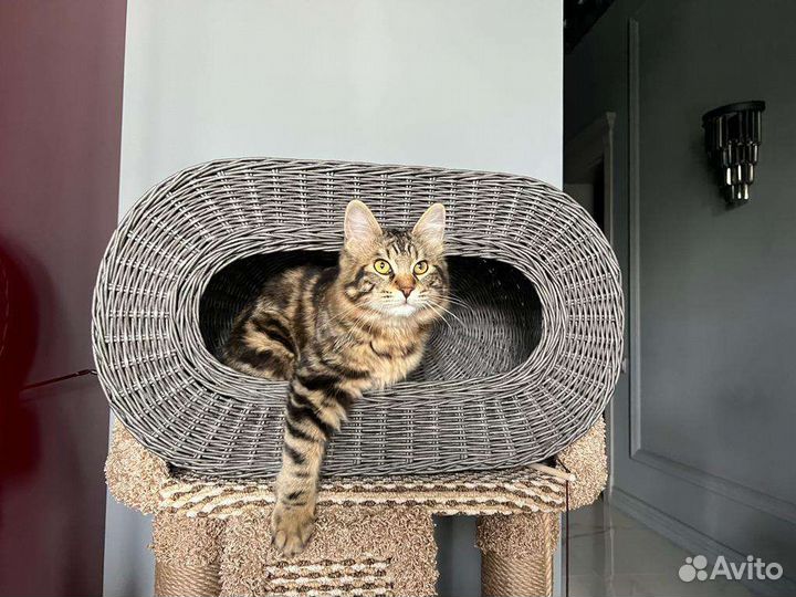Домик для кошки