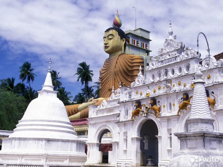 VIP-тур на Шри-Ланку на 7 нч