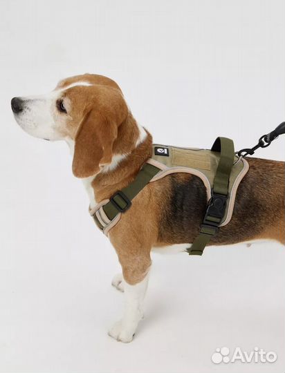 Шлейка для средней собаки