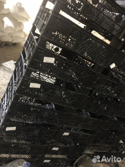 Пластиковые ящики бу