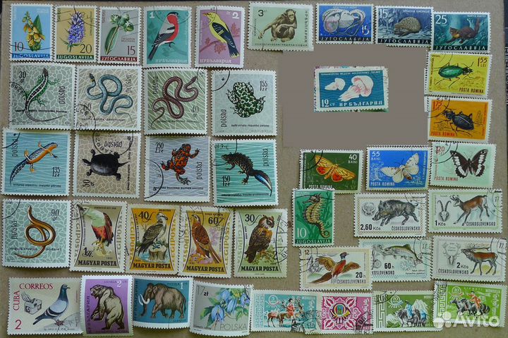 Набор марок фауна